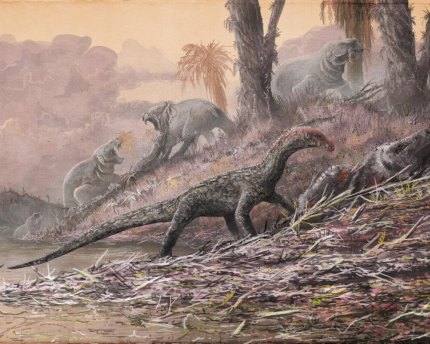 Fossil of early creature unearthed in Tanzania The teleocrater walked on four legs, researchers say.